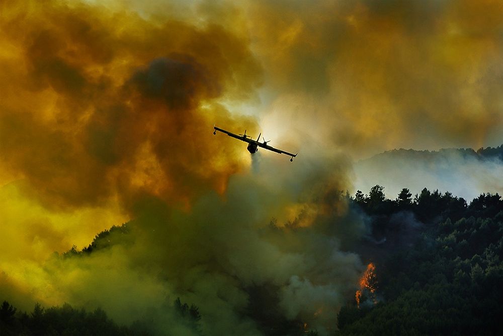 Canadair Aircraft In Action - Fighting For The Salvation Of The Forest. art print by Antonio Grambone for $57.95 CAD