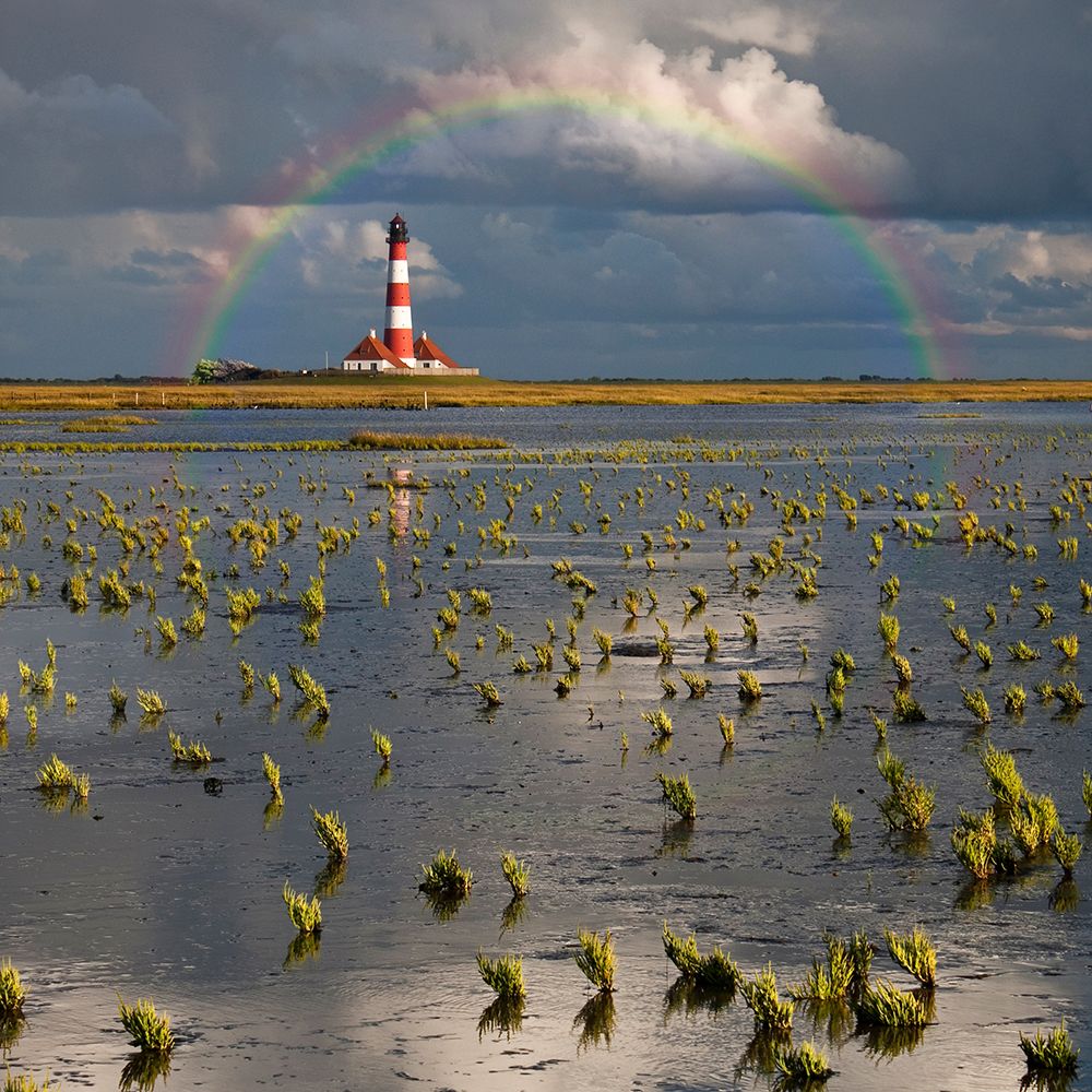 Lighthouse meets Rainbow art print by Carsten Meyerdierks for $57.95 CAD