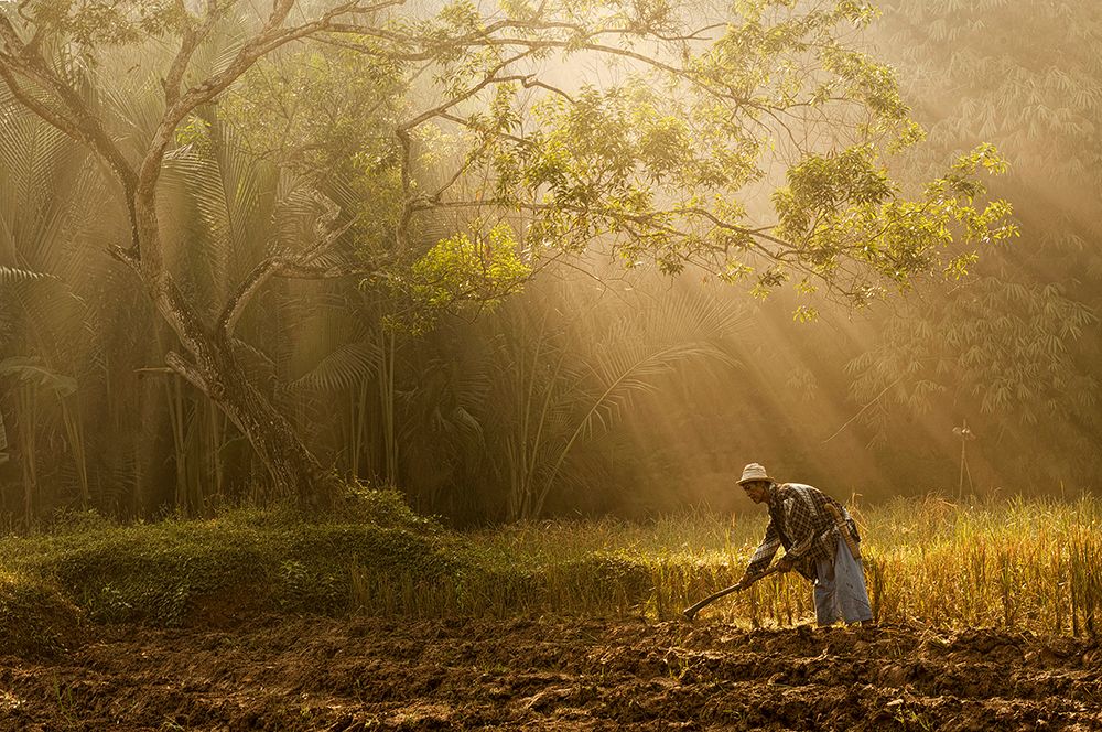 A Farmer art print by Antonyus (Abe) Bunjamin for $57.95 CAD