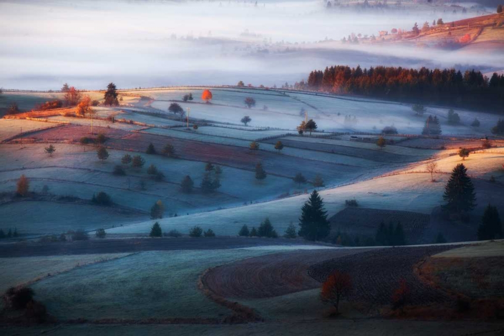 Mist art print by Amir Bajrich for $57.95 CAD