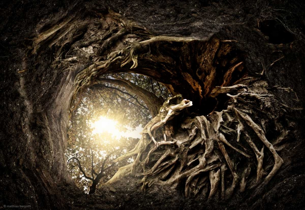Under The Trees #1 art print by Matthias Bergolth for $57.95 CAD