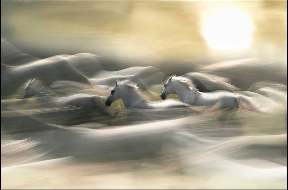 Morning Dream art print by Milan Malovrh for $57.95 CAD