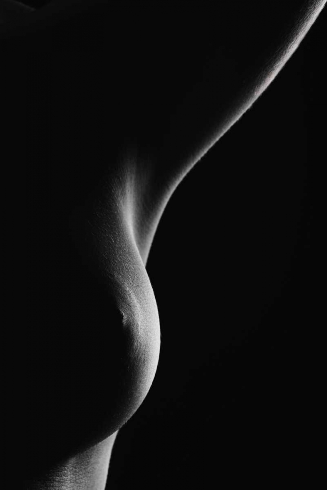 Nude Detail art print by Jan Blasko for $57.95 CAD