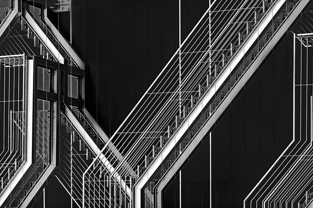 Moving Still art print by Paulo Abrantes for $57.95 CAD