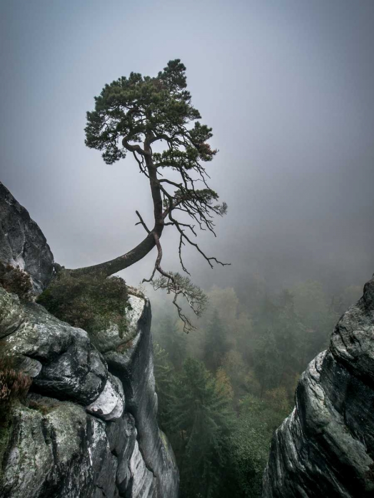 Against The Odds art print by Andreas Wonisch for $57.95 CAD