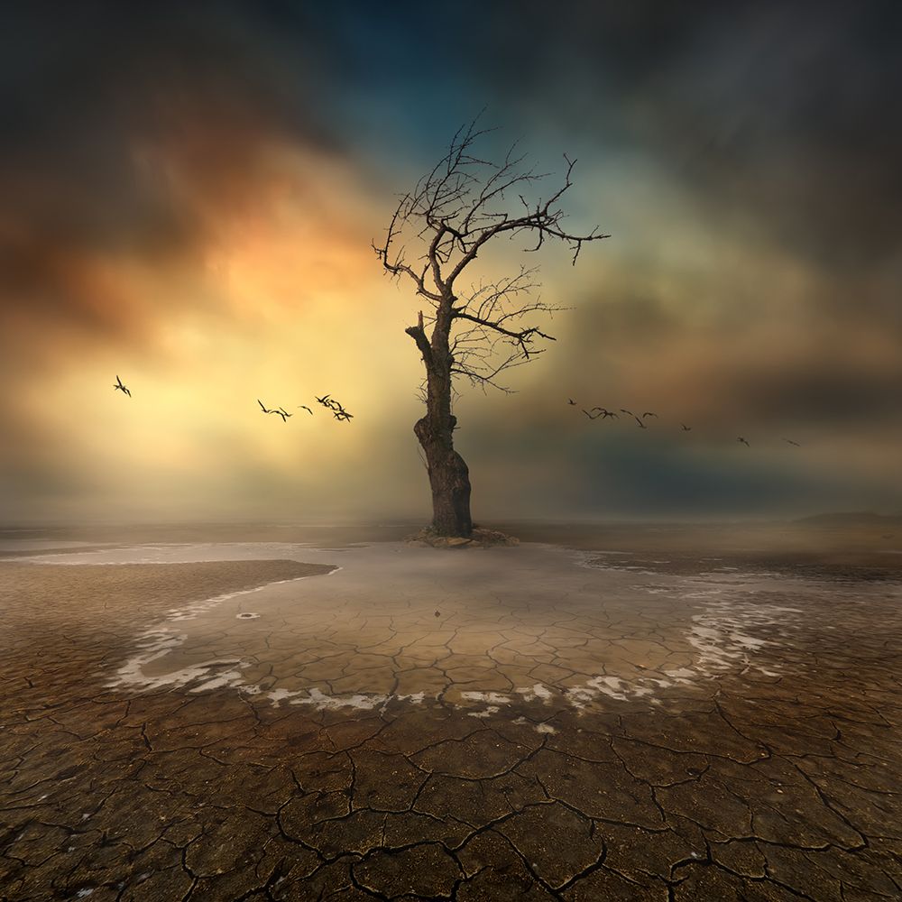 lonely art print by Piotr Krol for $57.95 CAD