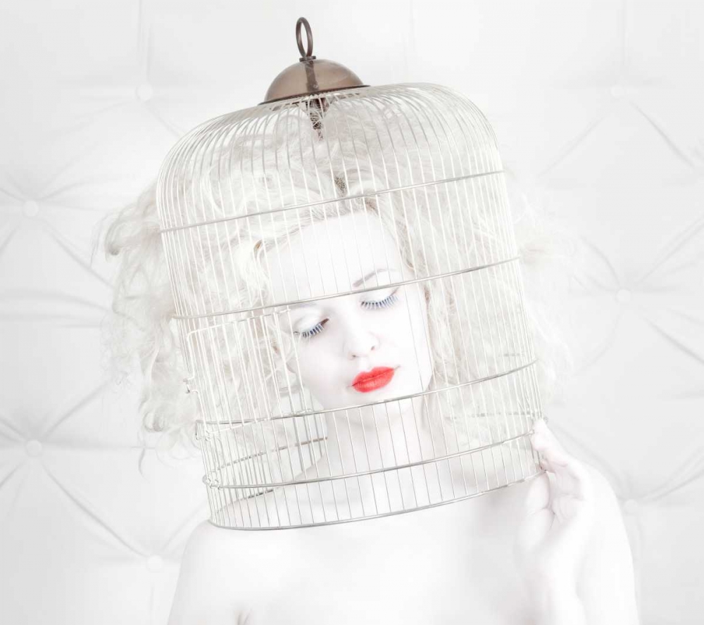 Birdcage Love art print by John Andre Aasen for $57.95 CAD