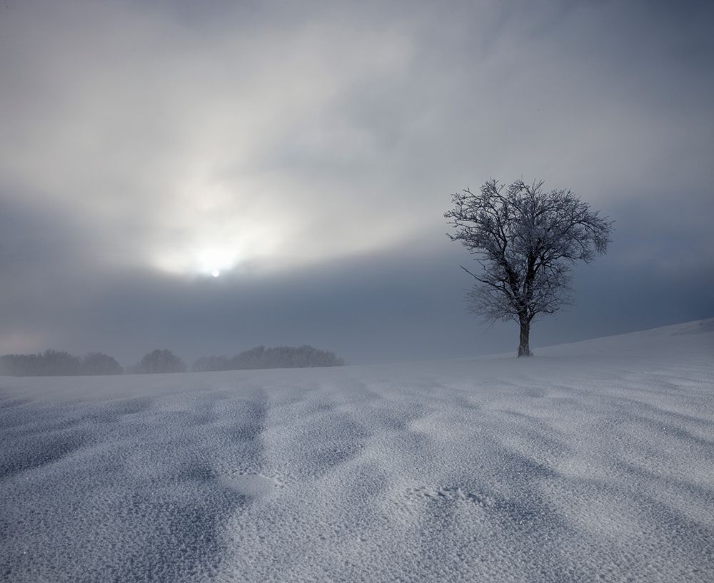 Winter Impression art print by Franz Schumacher for $57.95 CAD