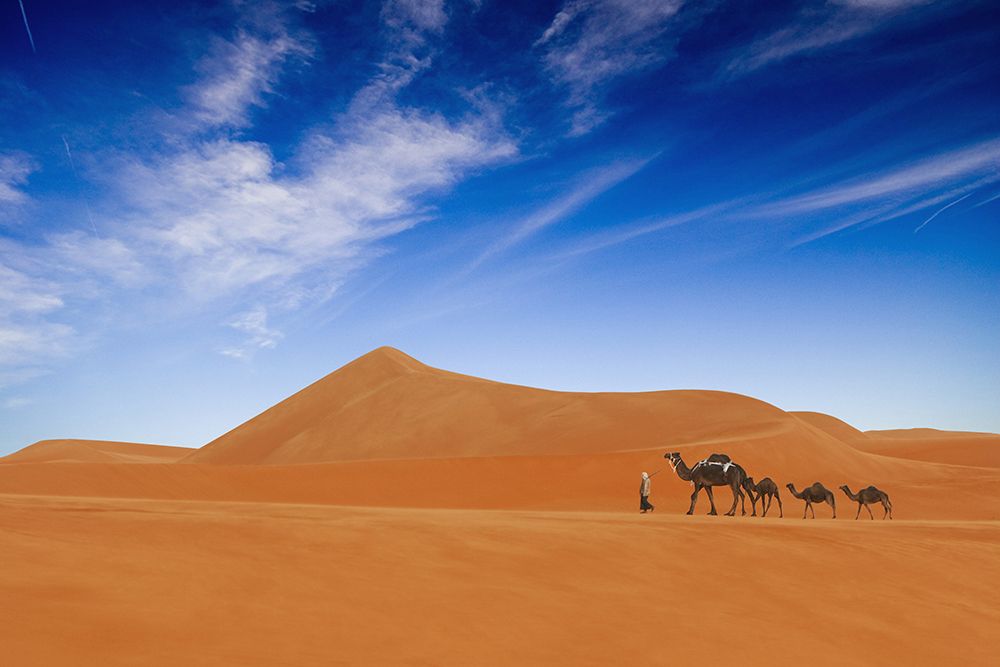 Desert Life .. art print by Hesham Alhumaid for $57.95 CAD