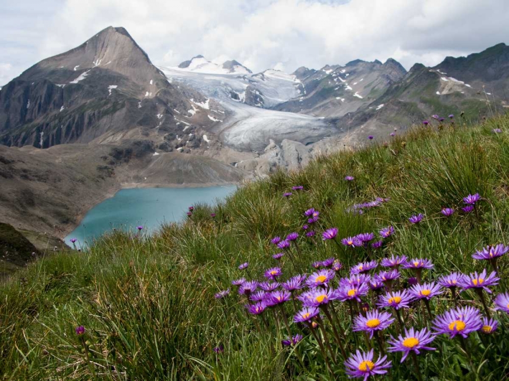 Corno Gries, Switzerland art print by Vito Guarino for $57.95 CAD