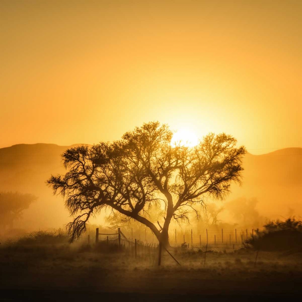 Golden Sunrise art print by Piet Flour for $57.95 CAD
