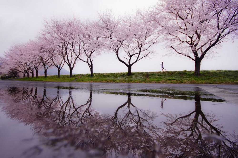 Rain Of Spring art print by Kouji Tomihisa for $57.95 CAD