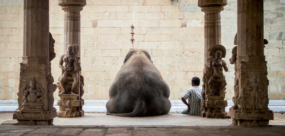 The Elephant and Its Mahot art print by Ruhan for $57.95 CAD