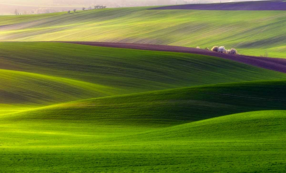 Verdant Land art print by Piotr (Bax) Krol for $57.95 CAD