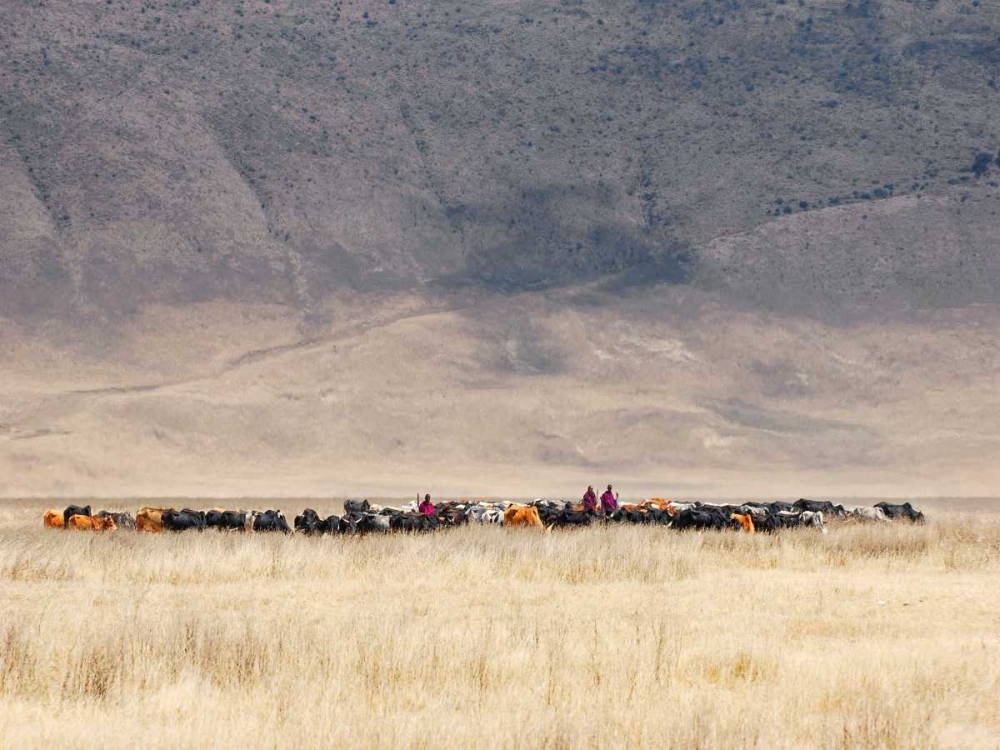 Incredible Maasai art print by Mathilde Guillemot for $57.95 CAD