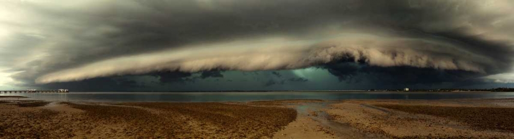Mother Natures Revenge art print by Mel Brackstone for $57.95 CAD