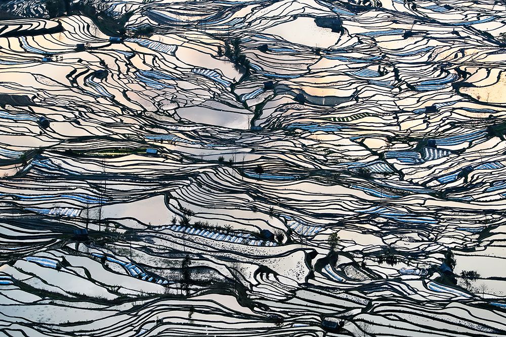 Earth Carpet art print by George Doupas for $57.95 CAD