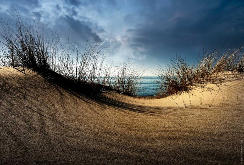 Dunes........... art print by Wim Schuurmans for $57.95 CAD