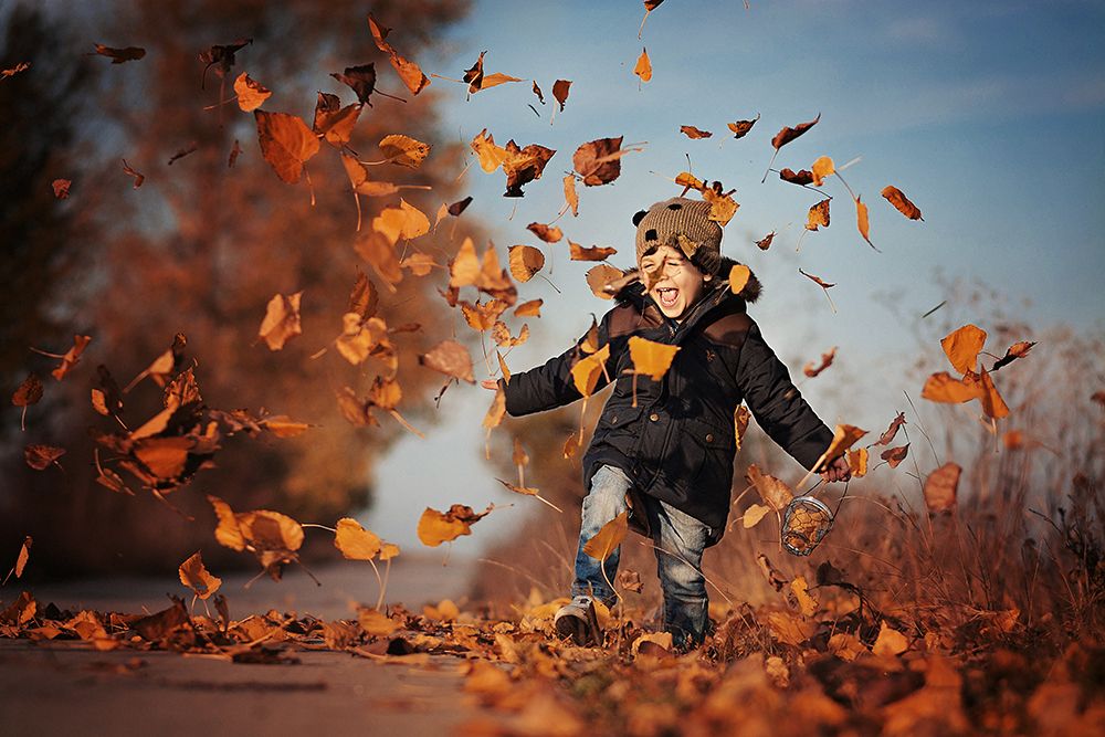 Leaves art print by Vanya Baramova for $57.95 CAD