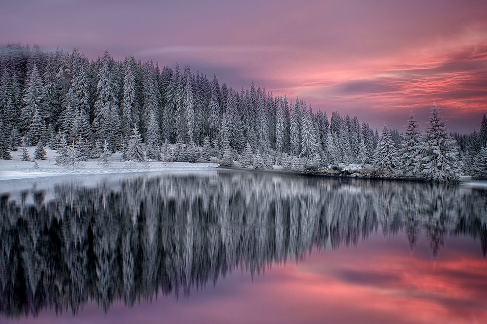 Winter Fairytale art print by Albena Markova for $57.95 CAD
