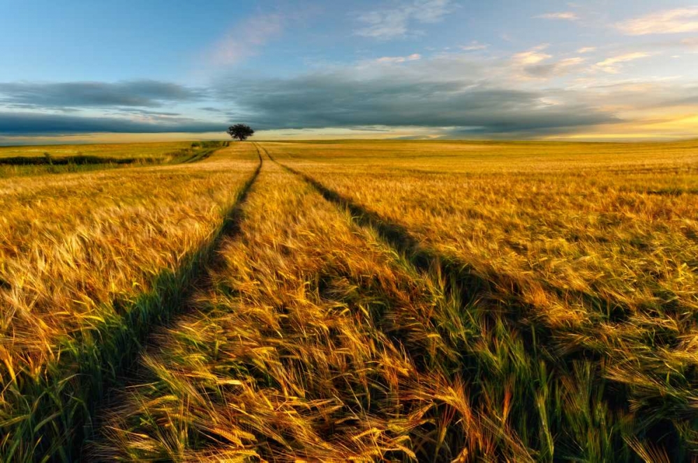 Countryside art print by Piotr (Bax) Krol for $57.95 CAD