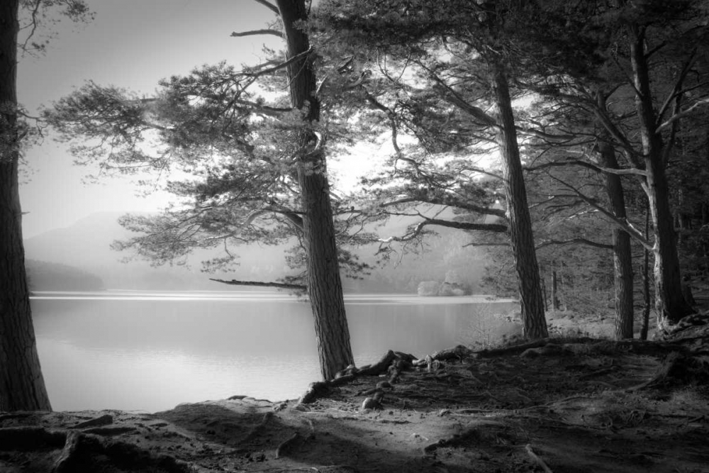 Loch An Eilein art print by Dorit Fuhg for $57.95 CAD