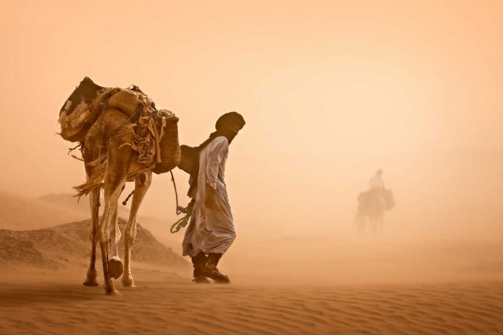 Sand Storm art print by Jovelino for $57.95 CAD