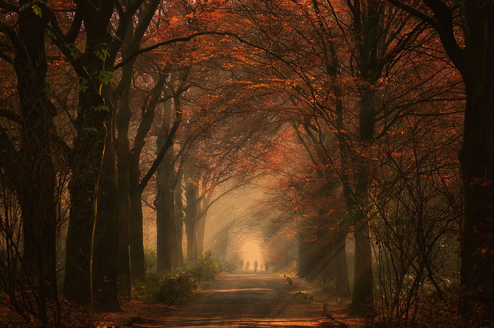 Autumn walk art print by Robert for $57.95 CAD