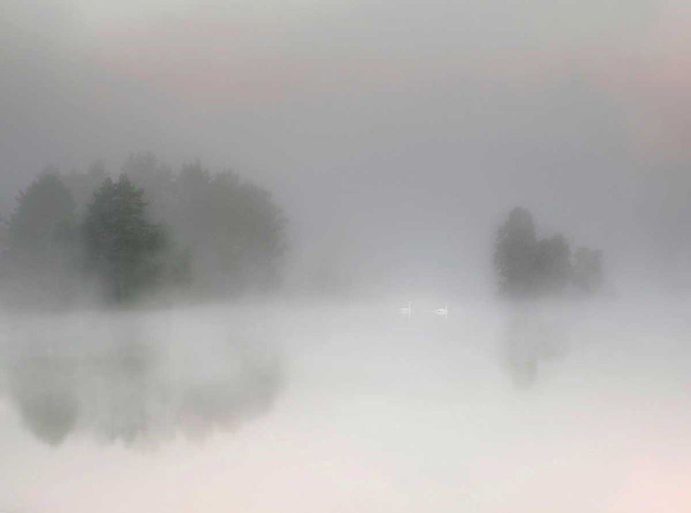 Misty Morning art print by Bjorn Emanuelson for $57.95 CAD