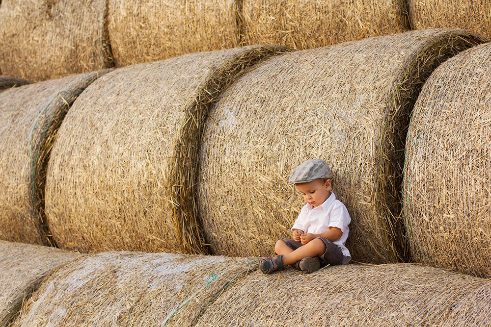 Haystacks art print by Tatyana Tomsickova for $57.95 CAD