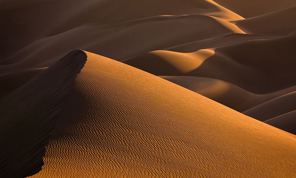 Golden Sunset art print by Mohammadreza Momeni for $57.95 CAD