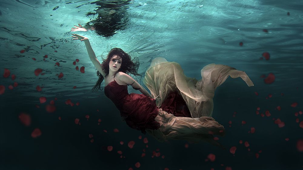 Ocean Of Roses art print by Martha Suherman for $57.95 CAD