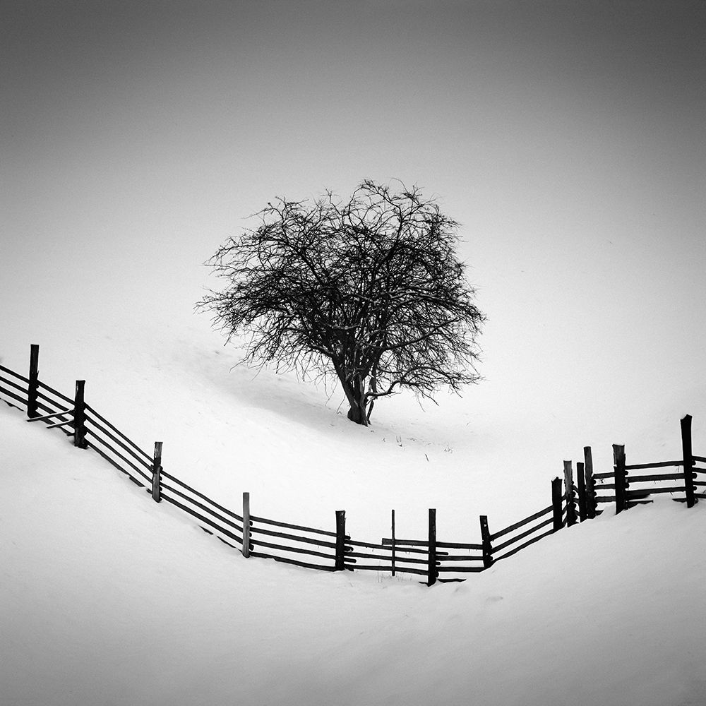 Trapped art print by Martin Rak for $57.95 CAD
