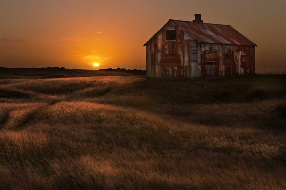 September Sun art print by Brin Ingibergsson-Bragi for $57.95 CAD