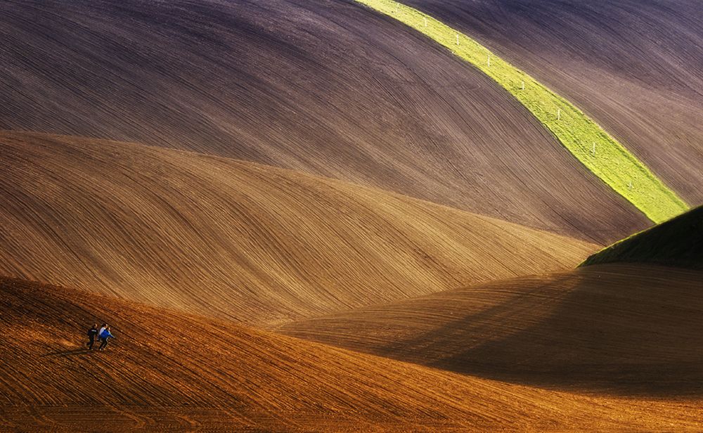 Running Free art print by Piotr (Bax) Krol for $57.95 CAD