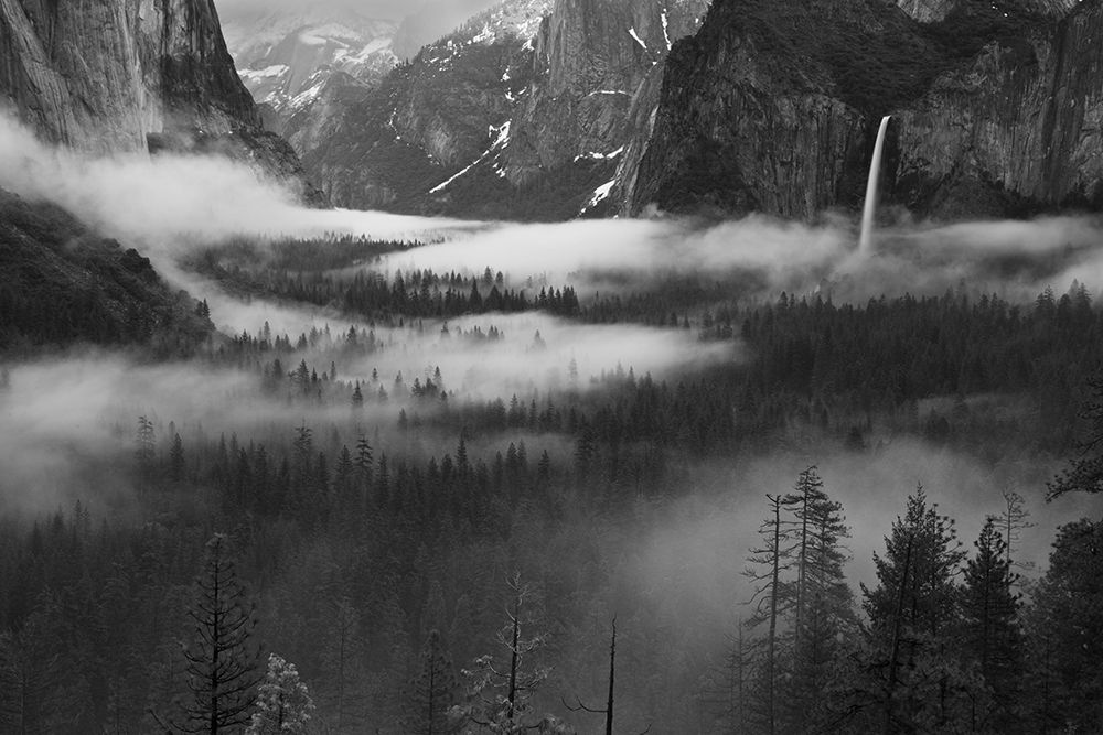 Fog Floating In Yosemite Valley art print by Hong Zeng for $57.95 CAD