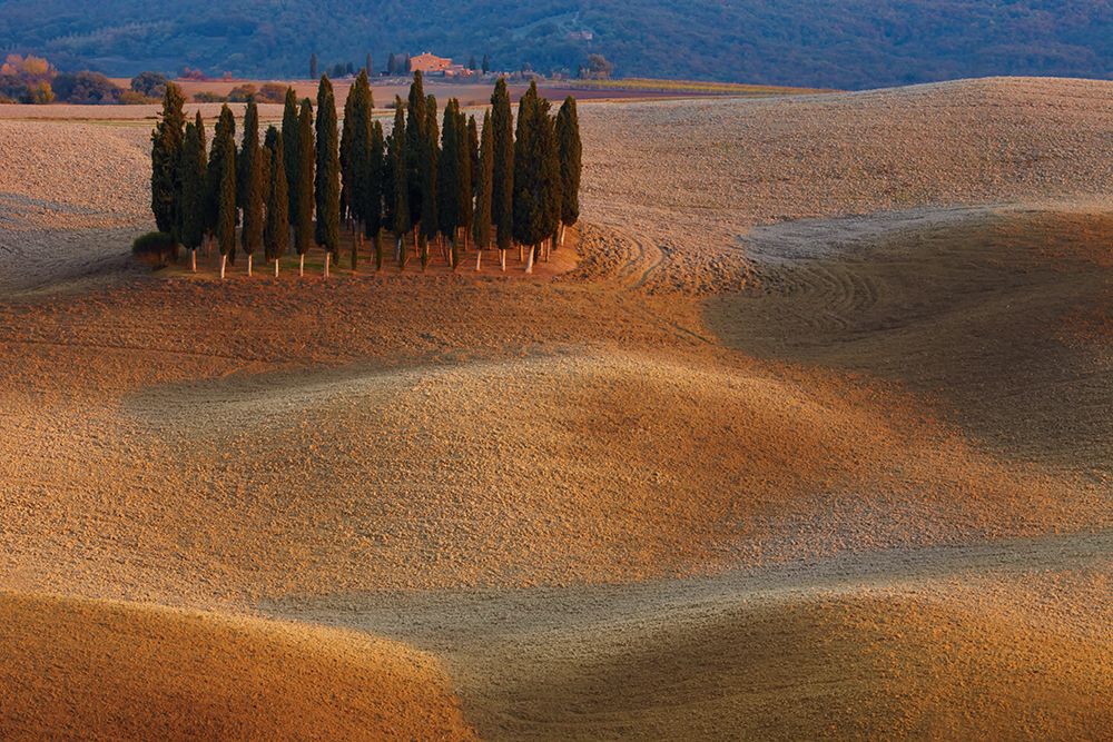 Toscana art print by Vadim Balakin for $57.95 CAD