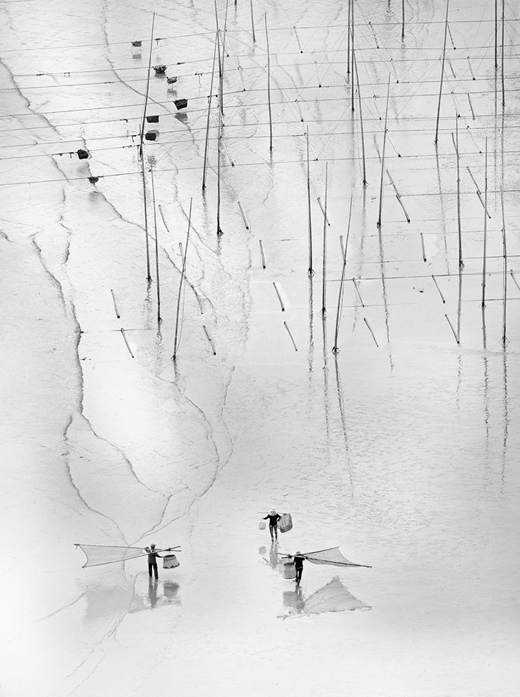 Together art print by Angela Muliani Hartojo for $57.95 CAD