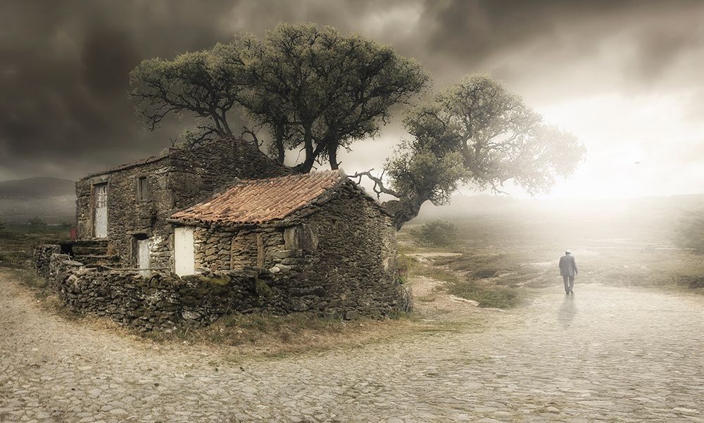 IM Leaving art print by Nuno Araujo for $57.95 CAD