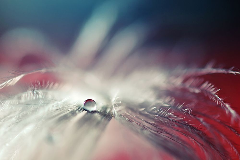 Stories of drops art print by Dmitry Doronin for $57.95 CAD