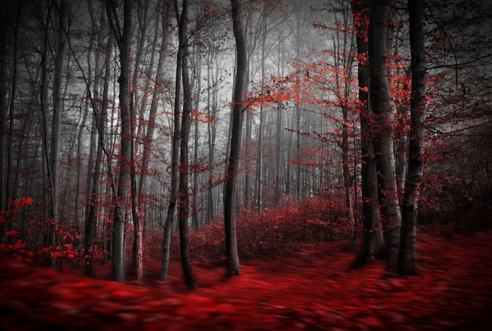 Bloody River art print by Samanta for $57.95 CAD
