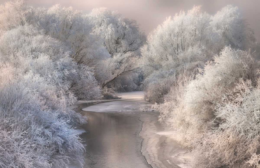 Winter Song art print by Sebestyen Bela for $57.95 CAD