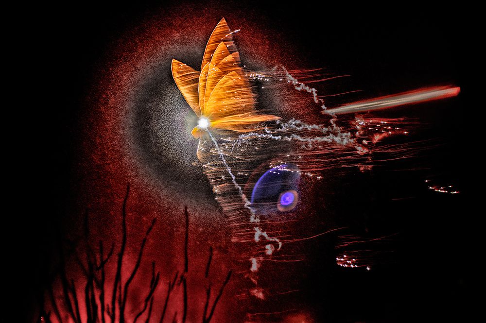 New Year Butterfly art print by Bjorn A Hveding for $57.95 CAD