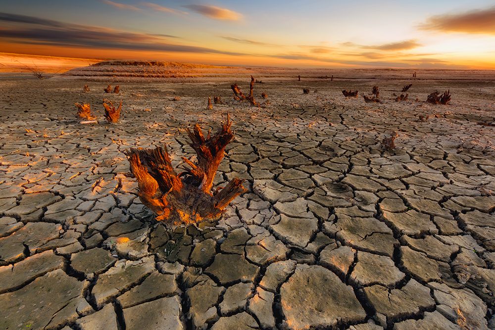 Dry lake art print by Piotr Krol for $57.95 CAD