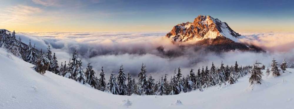 Golden Peak art print by Tomas Sereda for $57.95 CAD