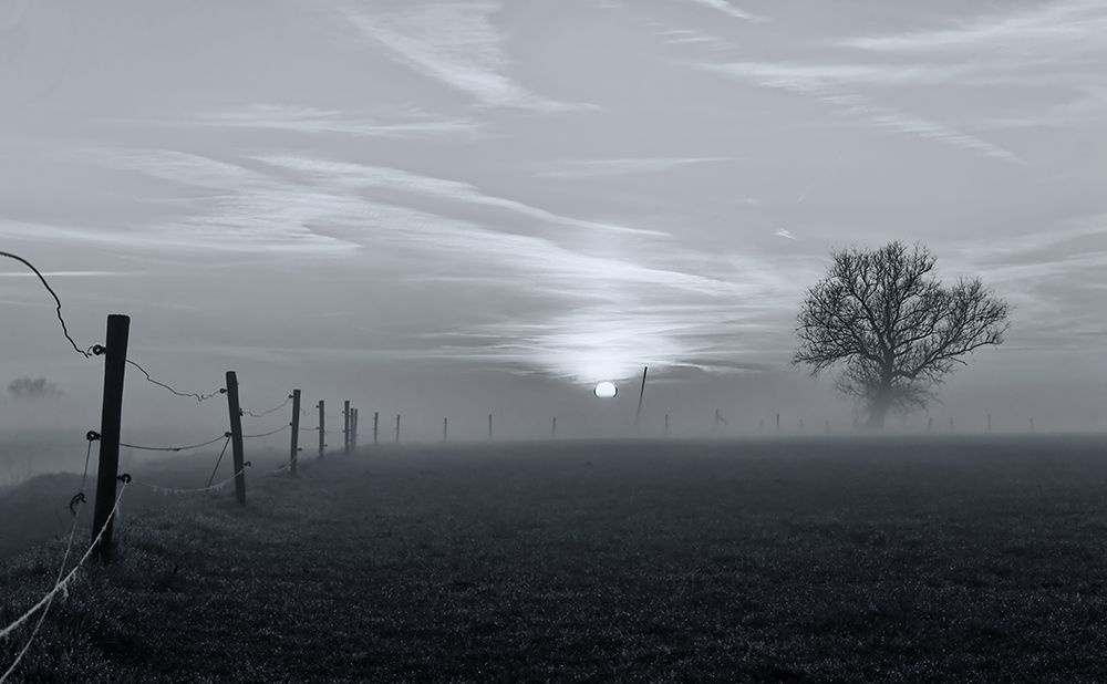 On a misty morning in March art print by Jacob Tuinenga for $57.95 CAD
