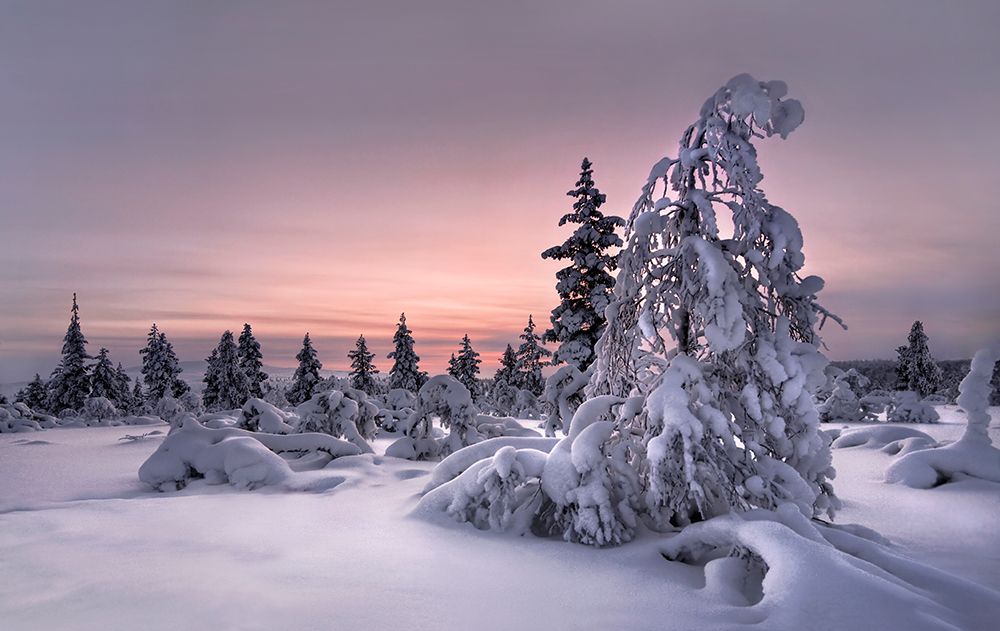 Lappland - Winterwonderland art print by Christian Schweiger for $57.95 CAD