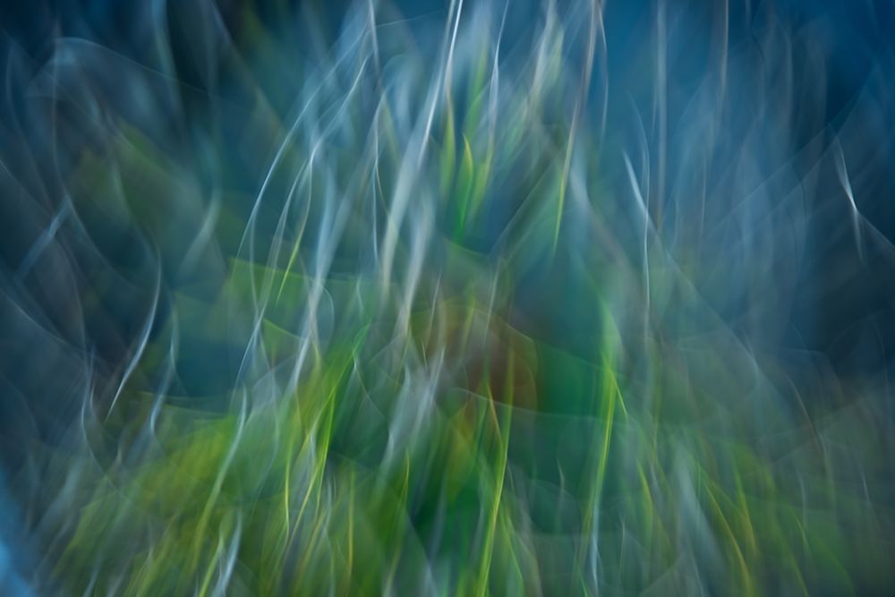 Shock Blues art print by Abrantespaulo for $57.95 CAD
