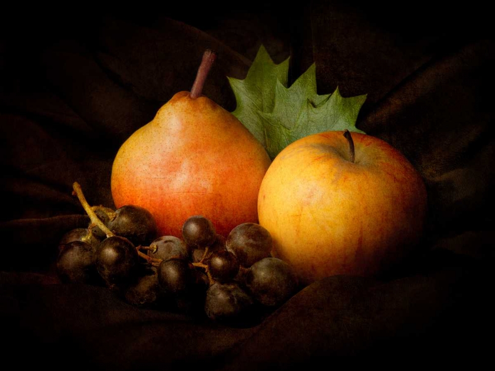 Nature Morte #3 art print by Jerome Zakka Bajjani for $57.95 CAD