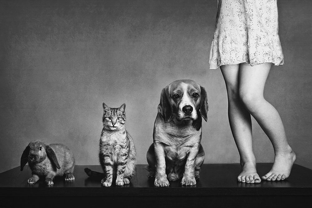 Family Portrait art print by Monique for $57.95 CAD